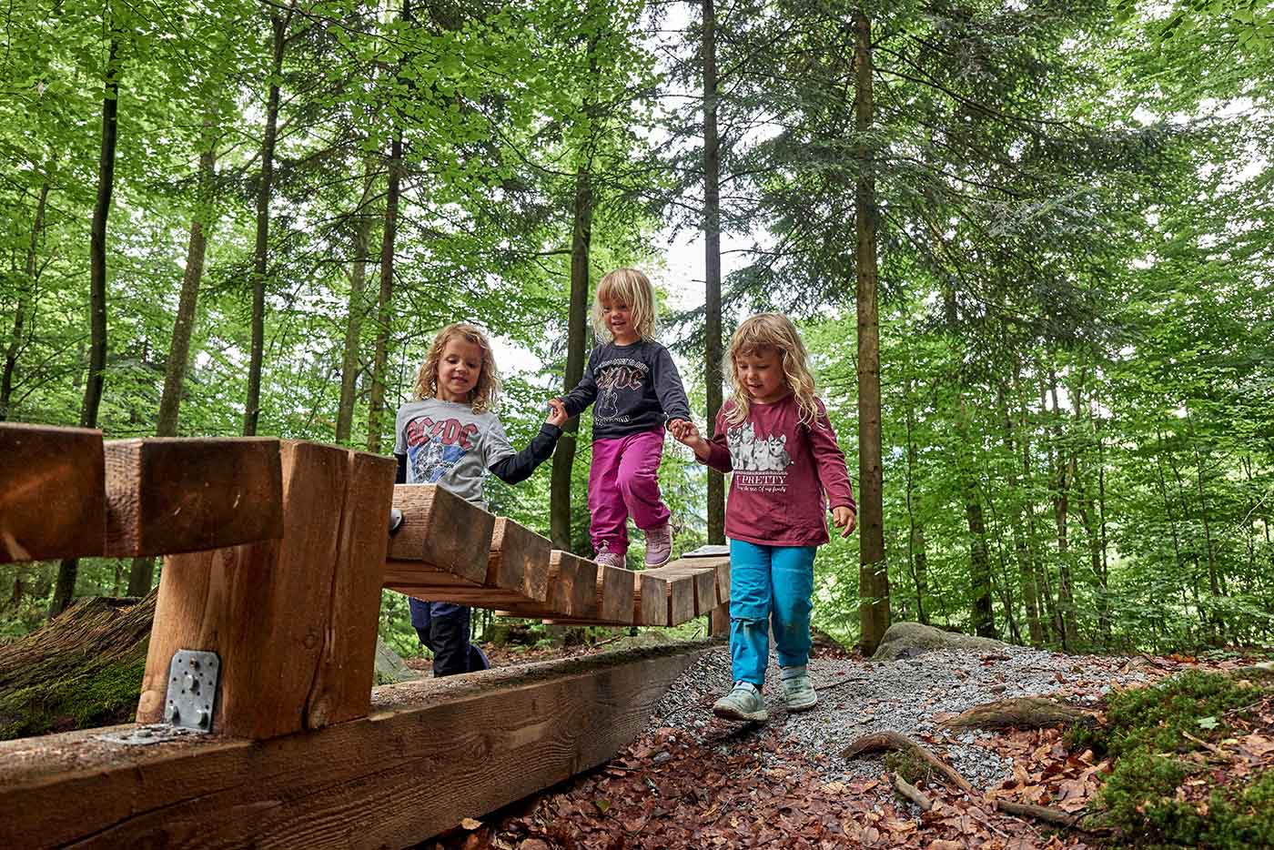 Kinder wandern auf einer Ameisenstraße im Bayerischen Wald, nahe dem Wellnesshotel Waldeck.