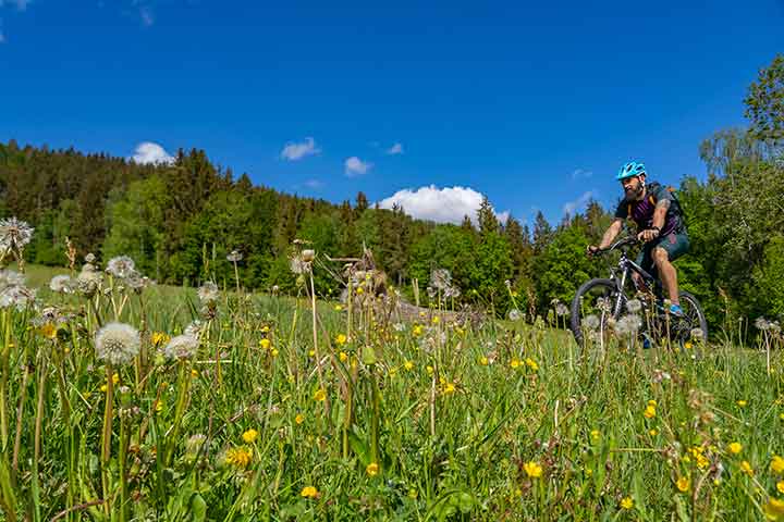 Radfahrer auf einer schönen Tour durch die Natur mit Wiesen und Wald im Bayerischen Wald, in der Nähe des Wellnesshotels Waldeck.