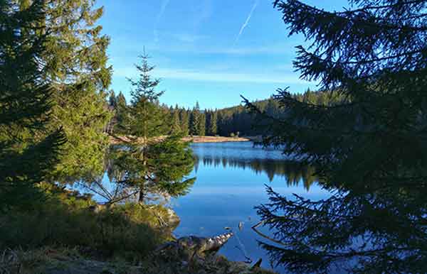 Badeseen im Bayerischen Wald – Erfrischung und Natur pur im Sommer.