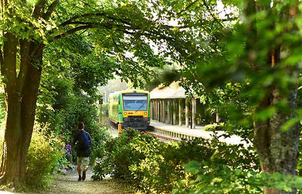 Waldbahn im Bayerischen Wald, fährt durch malerische Landschaften.