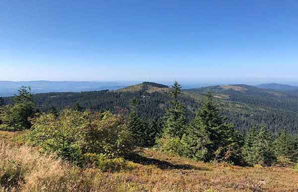 Blick über bewaldete Berge im Bayerischen Wald.