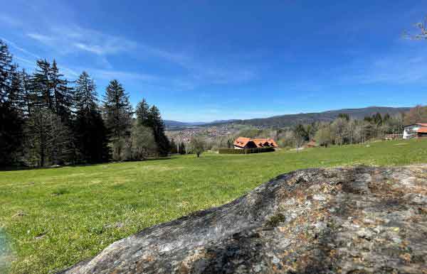 Frühling in Bodenmais – Wiese und Wald im Bayerischen Wald